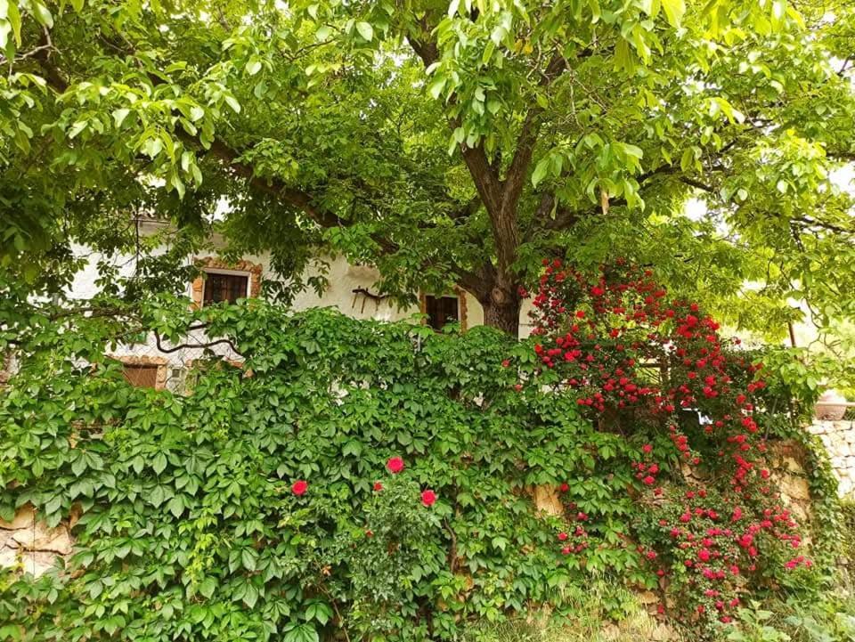 Cortijo Ramon Petra Guest House Nerpio Exterior foto